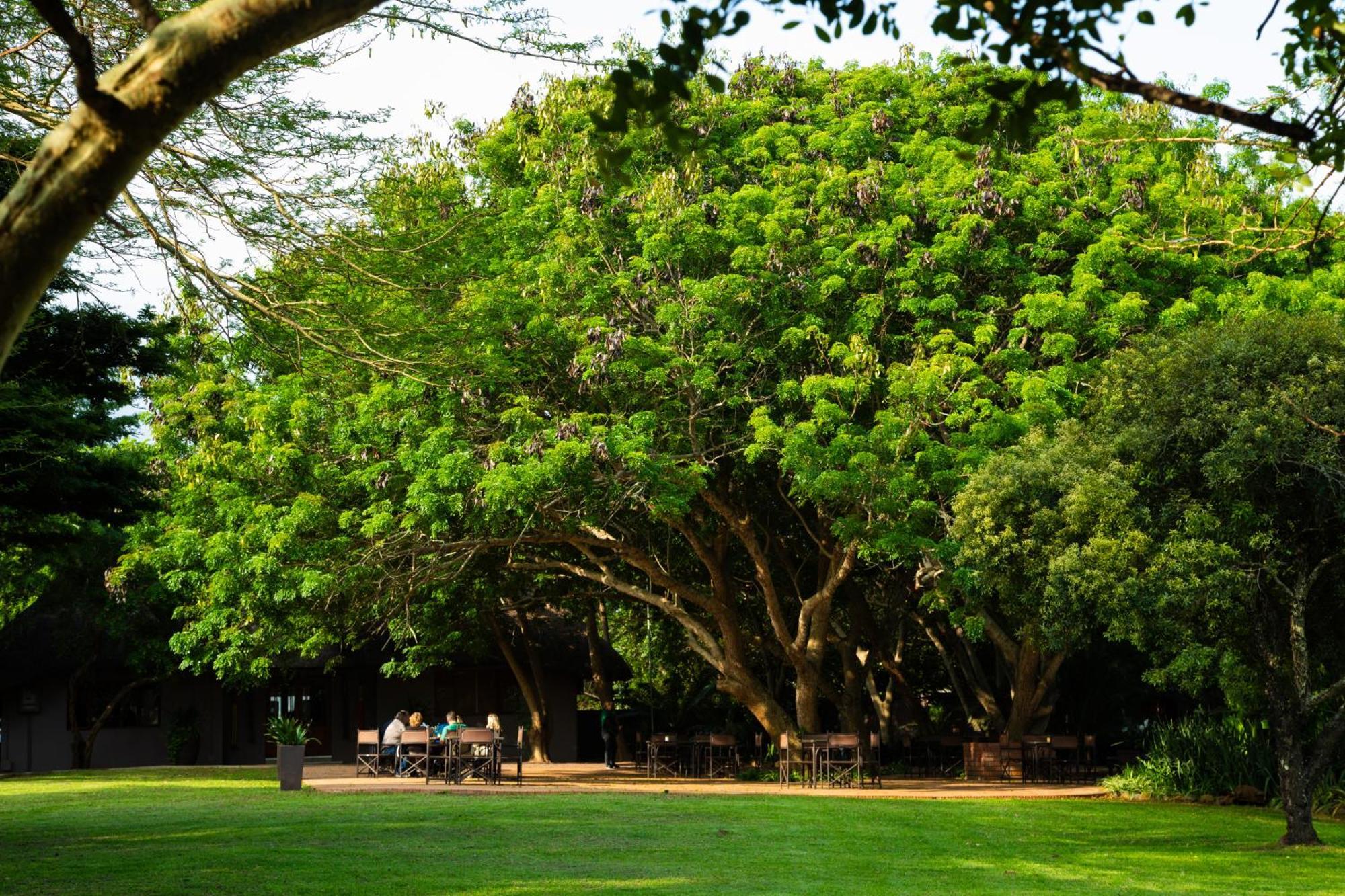 Falaza Game Park And Spa Hluhluwe Exterior foto